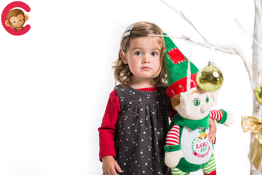 Christmas Elf Embroidery Cubbie